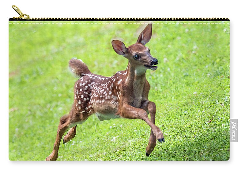 Fawn Zip Pouch featuring the photograph Running And Jumping by William Bitman