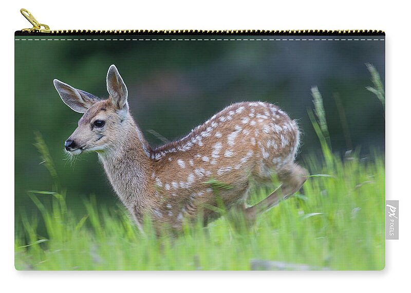 Mark Miller Photos Zip Pouch featuring the photograph Stotting Fawn by Mark Miller