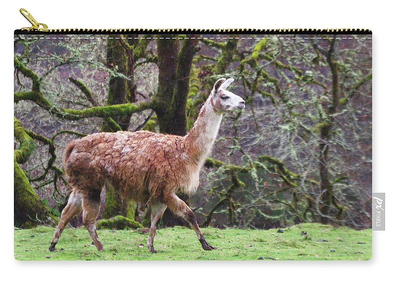 Adria Trail Zip Pouch featuring the photograph Runway Composure by Adria Trail
