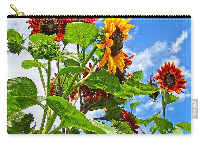 Sunflowers Zip Pouch featuring the photograph Rustic Sunflowers by Amanda Smith