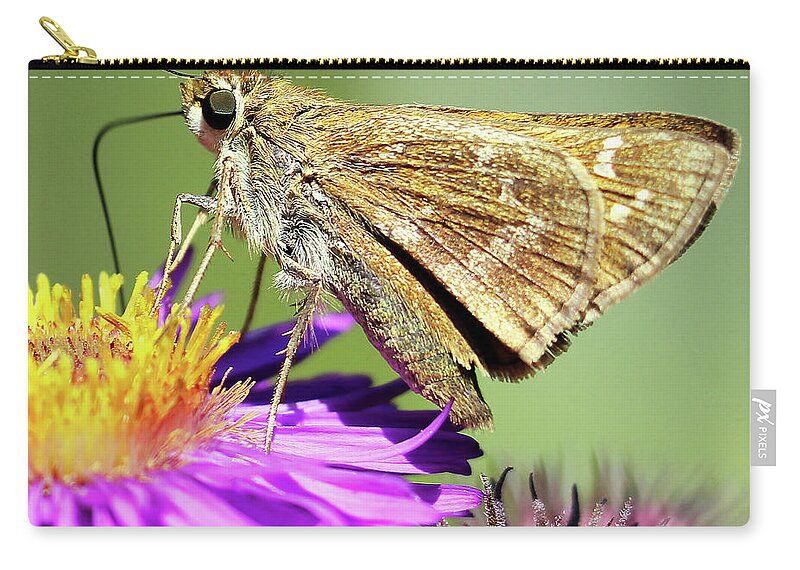  Female Carry-all Pouch featuring the photograph Sachem Skipper by Jennifer Robin
