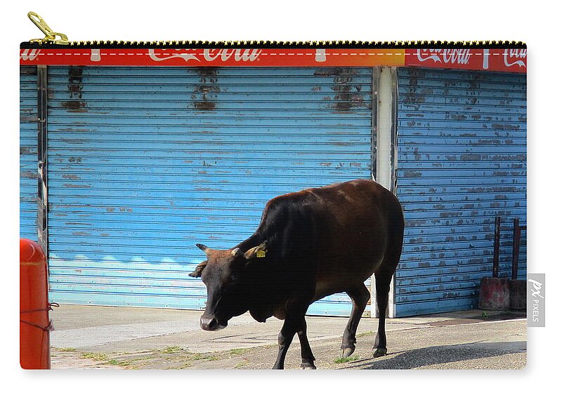 Sacred Cow Zip Pouch featuring the photograph Sacred Cow 1 by Randall Weidner