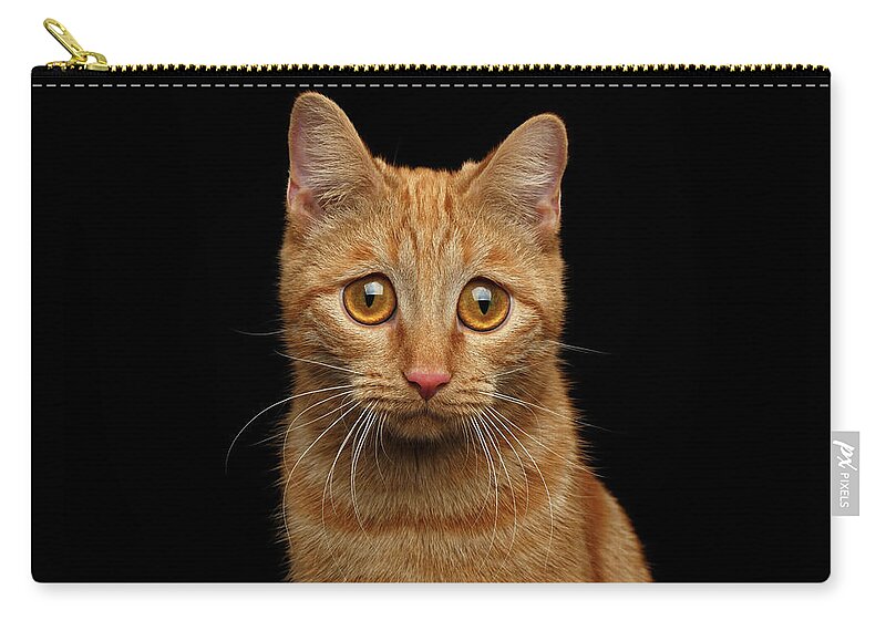Cat Zip Pouch featuring the photograph Sad Ginger Cat by Sergey Taran