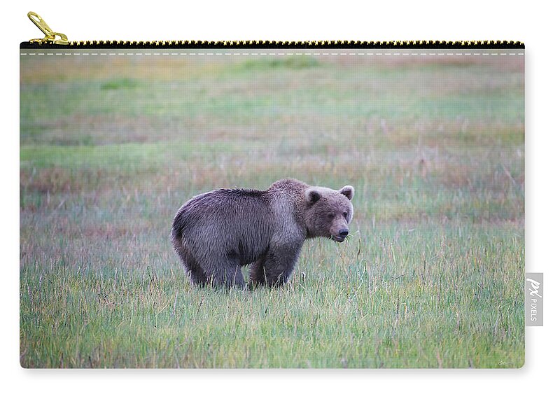 Brown Bear Zip Pouch featuring the photograph Sage by Ed Boudreau