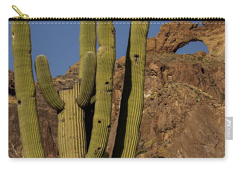 Jean Noren Zip Pouch featuring the photograph Saguaro Cactus Near Arch by Jean Noren