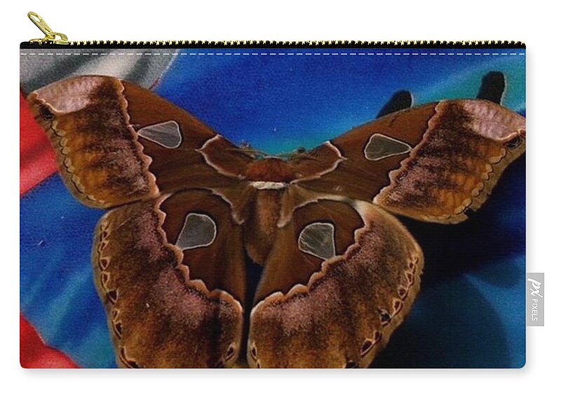 Butterfly Zip Pouch featuring the photograph Sakura

from
dreaming My Animal by David Cardona