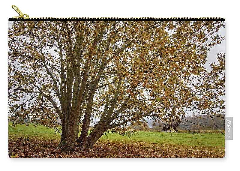 Finland Zip Pouch featuring the photograph Salix. Siuro by Jouko Lehto