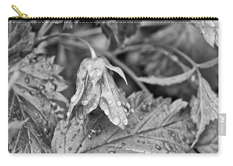 Salmonberry Zip Pouch featuring the photograph Salmonberry Flower in the Rain Monochrome by Cathy Mahnke