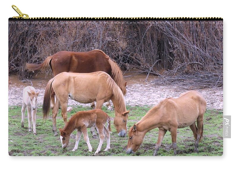 Arizona Carry-all Pouch featuring the photograph Salt River Wild Horses in Winter by Judy Kennedy