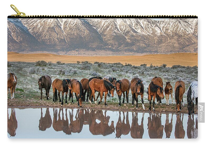  Carry-all Pouch featuring the photograph Samson at the pond by John T Humphrey
