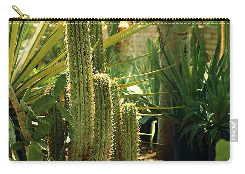 San Pedro Cactus Zip Pouch featuring the photograph San Pedro Cactus by Colleen Cornelius