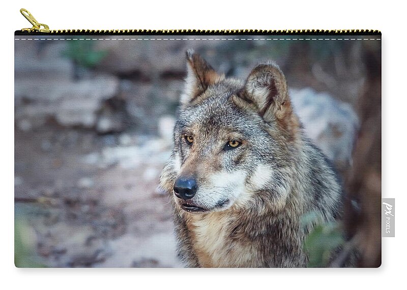 Wolf Zip Pouch featuring the photograph Sancho Searching the Area by Elaine Malott