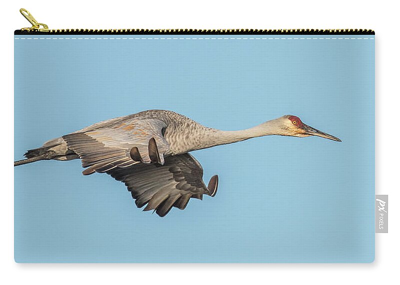 Crane Zip Pouch featuring the photograph Sand Hill Crane Side View by Paul Freidlund