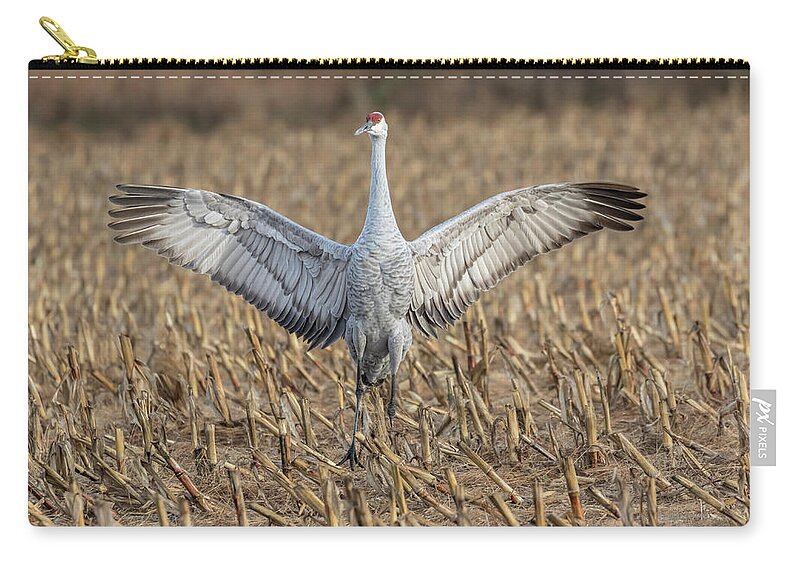 Sandhill Crane Carry-all Pouch featuring the photograph Sandhill Crane 2017-5 by Thomas Young