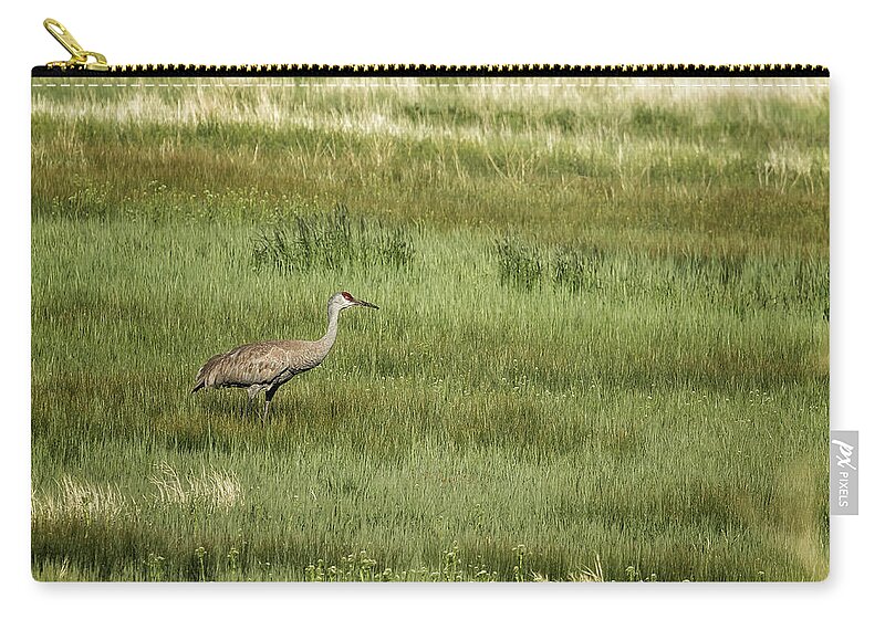 Sandhill Crane Zip Pouch featuring the photograph Sandhill Crane in a Field of Greens and Yellows, No. 1 by Belinda Greb