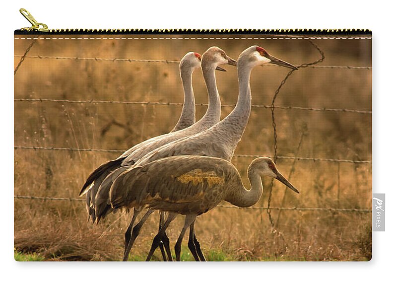 Nature Zip Pouch featuring the photograph Sandhill Cranes Texas Fence-Line by Robert Frederick