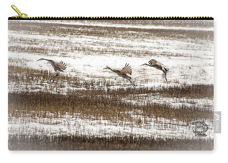  Crane Flight Touch Down Zip Pouch featuring the photograph Sandhill Touch Down by Daniel Hebard