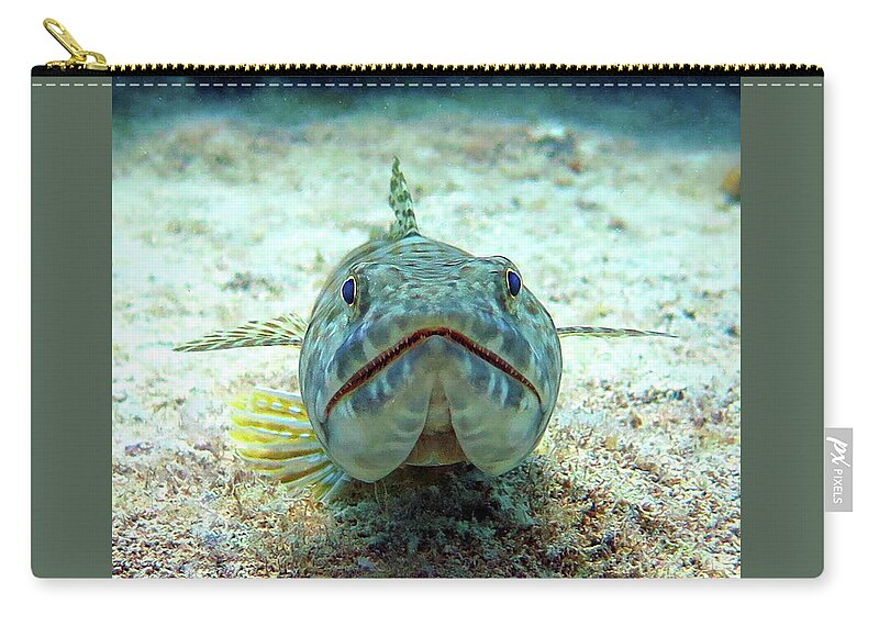 Underwater Zip Pouch featuring the photograph Sandiver by Daryl Duda