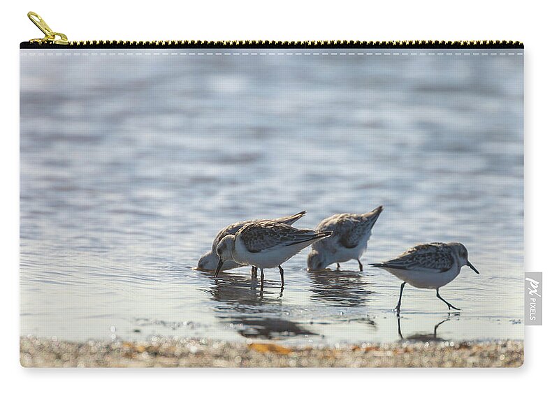 Calidris Mauri Carry-all Pouch featuring the photograph Sandpipers by Jonathan Nguyen