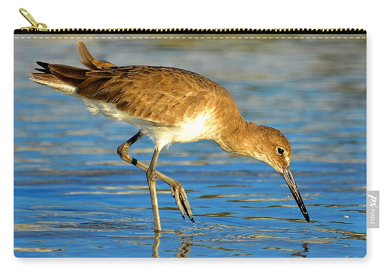 Sandpiper Zip Pouch featuring the photograph Sandpiper hunting by David Lee Thompson