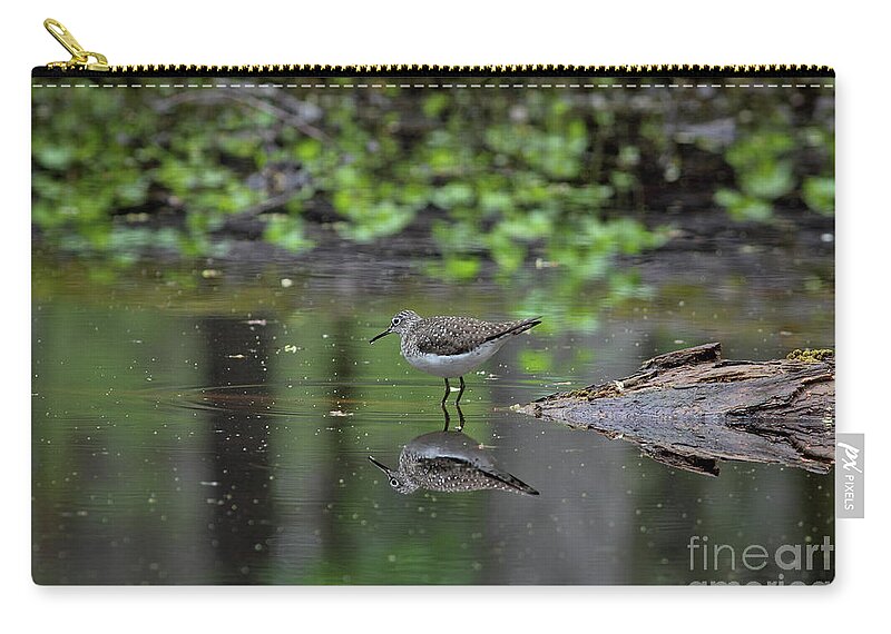 Sandpiper Zip Pouch featuring the photograph Sandpiper in the Smokies II by Douglas Stucky