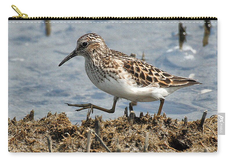 Wildlife Zip Pouch featuring the photograph Sandpiper Stroll by William Selander