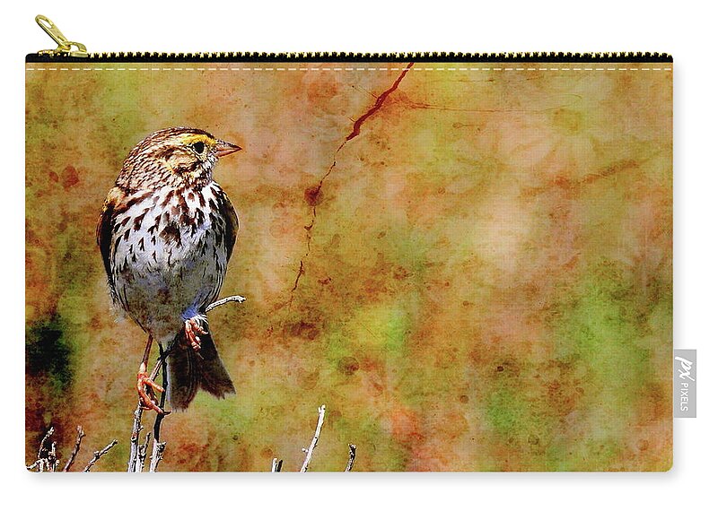 Bird Zip Pouch featuring the photograph Savannah Sparrow . Texture . Square . 40D5883 by Wingsdomain Art and Photography