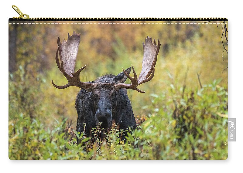 Moose Zip Pouch featuring the photograph Say Hello To Custer by Yeates Photography