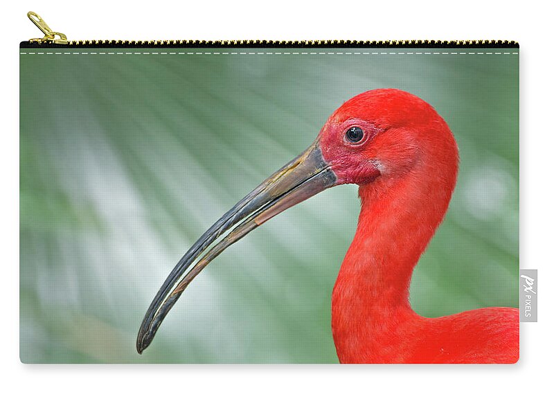 Scarlet Ibis Zip Pouch featuring the photograph Scarlet Ibis by Jim Zablotny