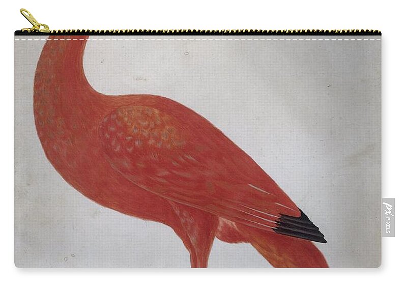 Scarlet Ibis With An Egg Carry-all Pouch featuring the painting Scarlet Ibis with an Egg by MotionAge Designs