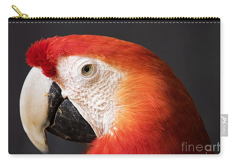 Exotic Zip Pouch featuring the photograph Scarlet Macaw by Bill Frische