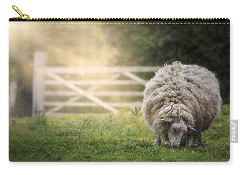 Sheep Zip Pouch featuring the photograph Sheep by Joana Kruse