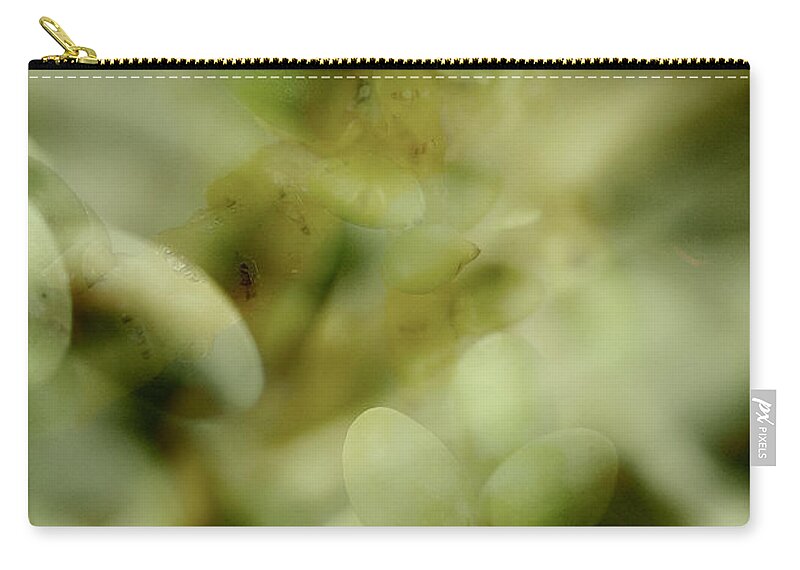 Palm Pods Zip Pouch featuring the photograph School of Curiosity 05 by Vicki Ferrari
