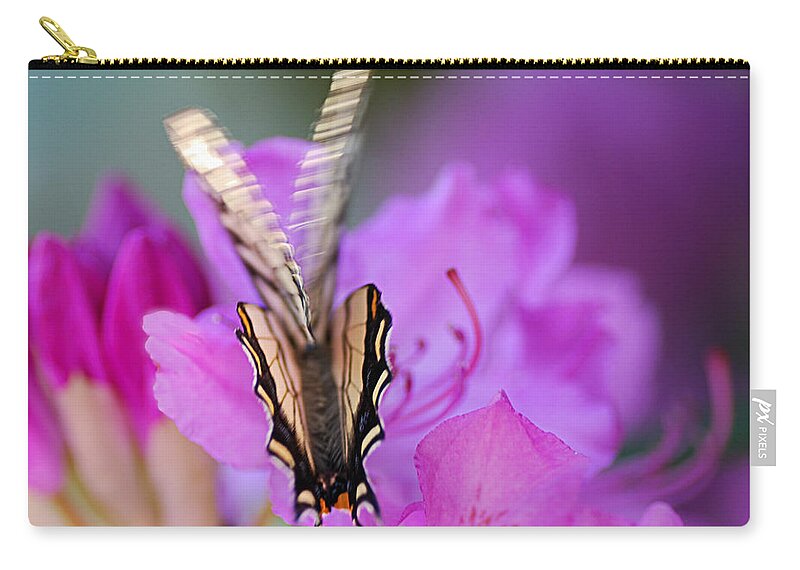 Butterfly Zip Pouch featuring the photograph Scissorwings by Sue Capuano