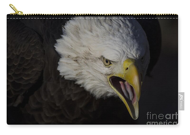 Eagle Zip Pouch featuring the photograph Screaming Eagle by Andrea Silies