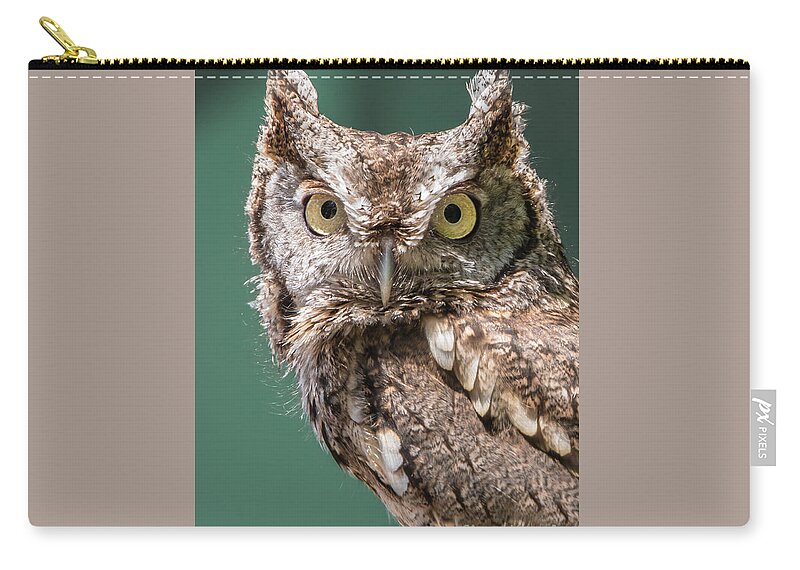  Zip Pouch featuring the photograph Screech Owl by Anthony Sacco