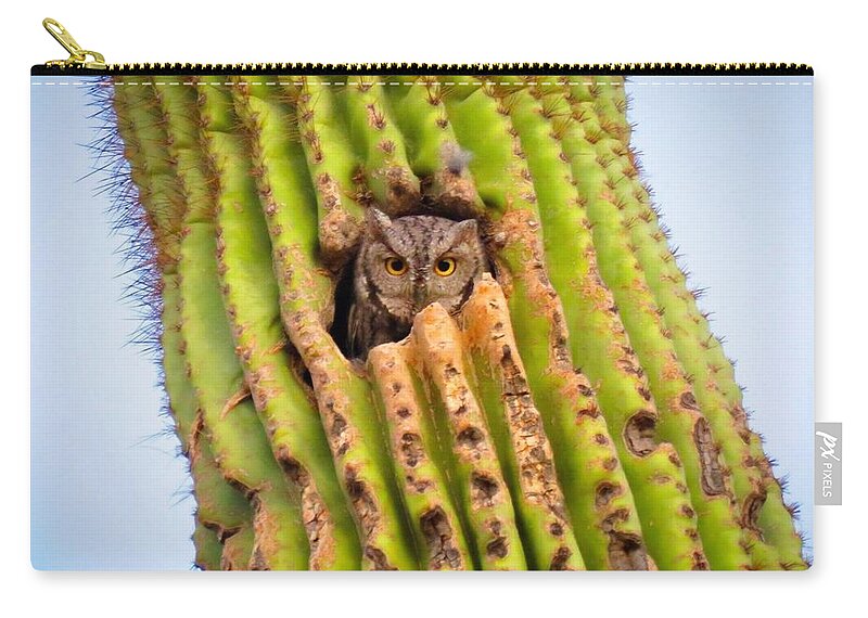 Animals Zip Pouch featuring the photograph Screech Owl in Saguaro by Judy Kennedy