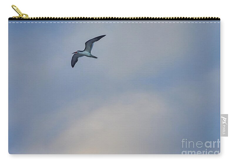Animal Zip Pouch featuring the photograph Sea Bird in Flight by Tom Brickhouse