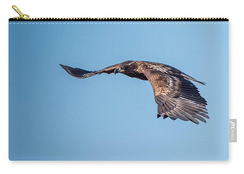 Sea Eagle Zip Pouch featuring the photograph Sea Eagle by Torbjorn Swenelius