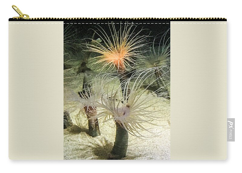  Sea Anemones Zip Pouch featuring the photograph Sea Flower by Daniel Hebard