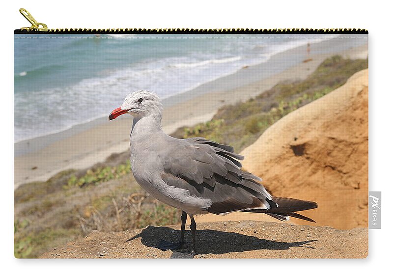 Heermann's Zip Pouch featuring the photograph Heermann's Gull by Christy Pooschke
