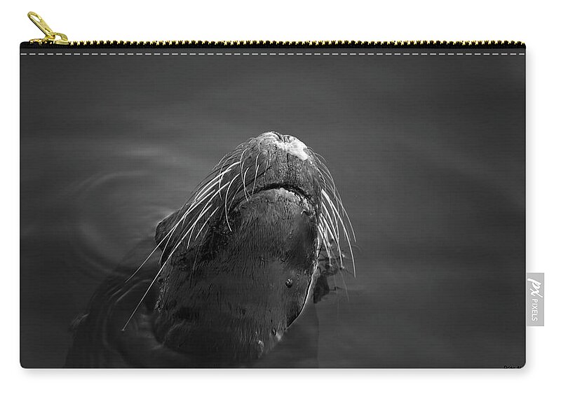 Wildlife Zip Pouch featuring the photograph Sea Lion V BW by David Gordon