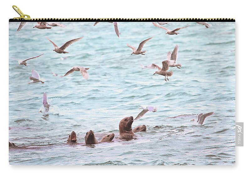 Sea Lions Zip Pouch featuring the photograph Sea Lions and Gulls - Herring Spawn by Peggy Collins
