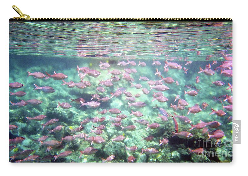 Fish Zip Pouch featuring the photograph Sea of Fish 2 by Karen Nicholson