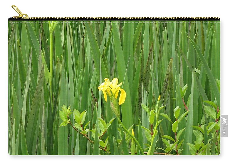 Yellow Iris Zip Pouch featuring the photograph Sea of Green by Anita Adams