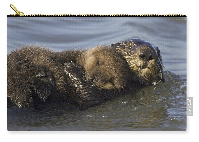 00438549 Carry-all Pouch featuring the photograph Sea Otter Mother With Pup Monterey Bay by Suzi Eszterhas