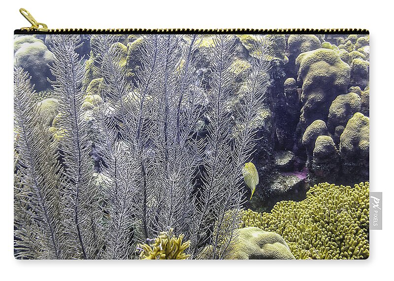 Sea Plumes Coral Zip Pouch featuring the photograph Sea Plumes Coral 2 by Perla Copernik