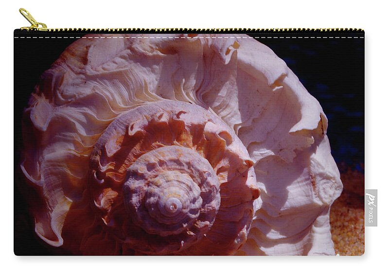 Shell Zip Pouch featuring the photograph Sea Treasure by Bess Carter