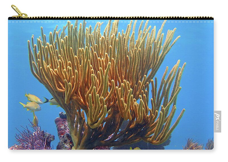 Underwater Zip Pouch featuring the photograph Sea Whip by Daryl Duda