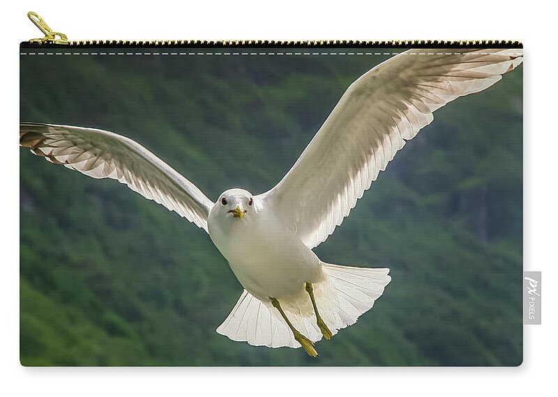 Seagull Zip Pouch featuring the photograph Seagull at the Fjord by KG Thienemann